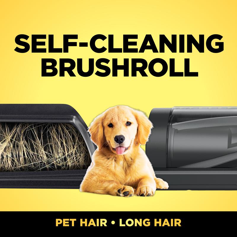 PetPro Cordless Stick Vacuum